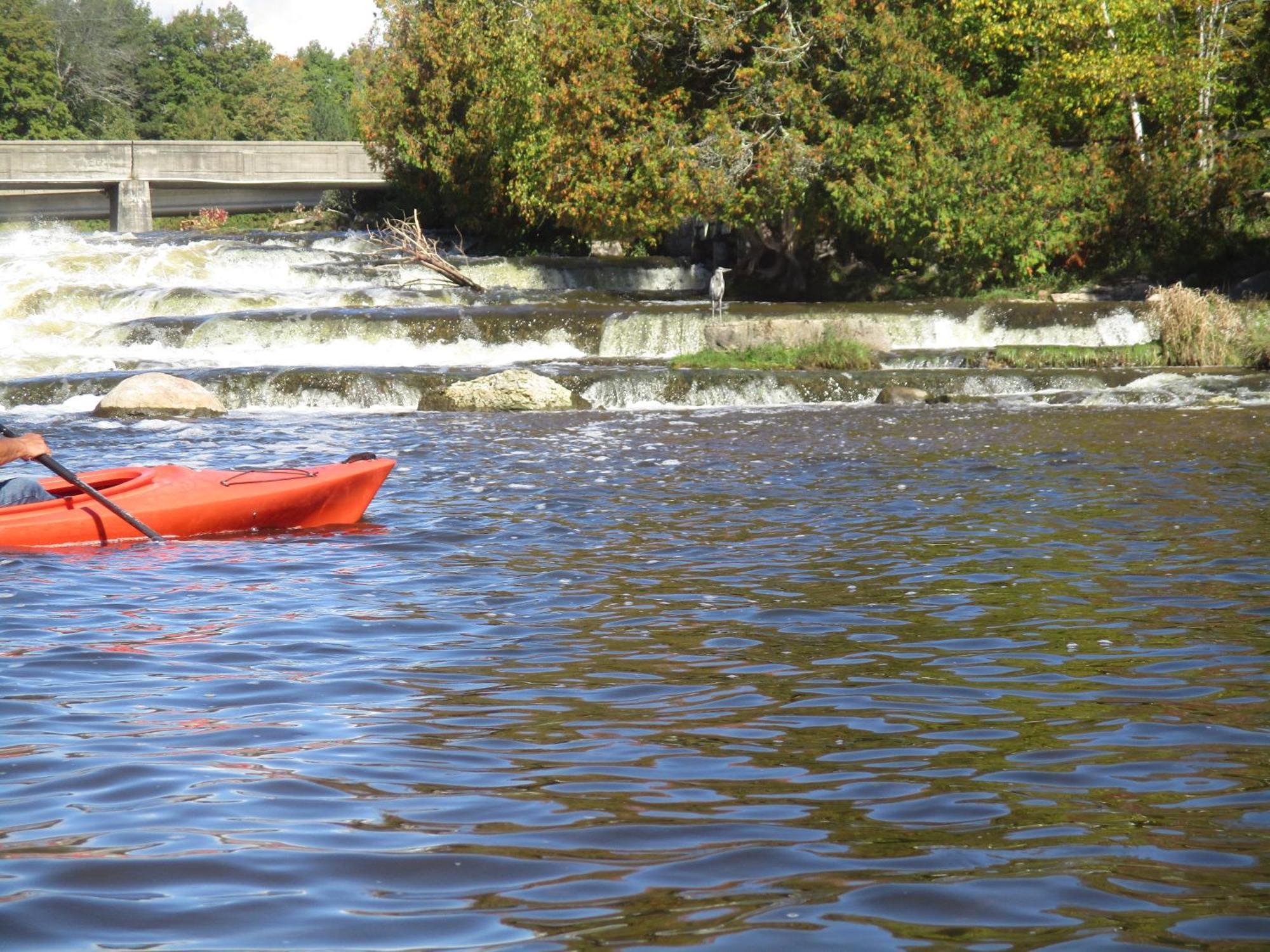 Sauble River Marina And Lodge Resort ソーブル・ビーチ エクステリア 写真
